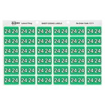 AVERY 43374 LATERAL FILE LABEL SIDE TAB YEAR CODE 24 25 X 38MM PACK 180