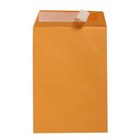 Peel N Seal Envelopes