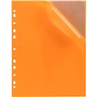 Insert Cover Display Books